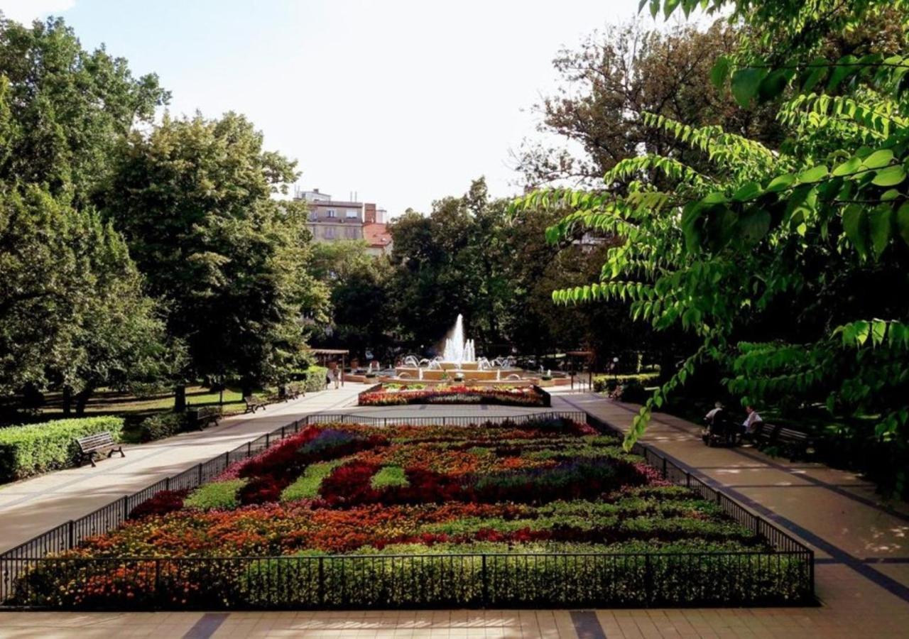 Beautiful Spacious Three-Room Suite Close To Buda Castle بودابست المظهر الخارجي الصورة